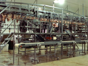 Poultry Industry Conveyors
